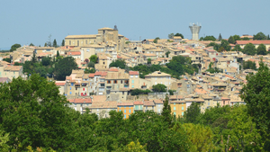 Traitement punaises de lit Carquefou
