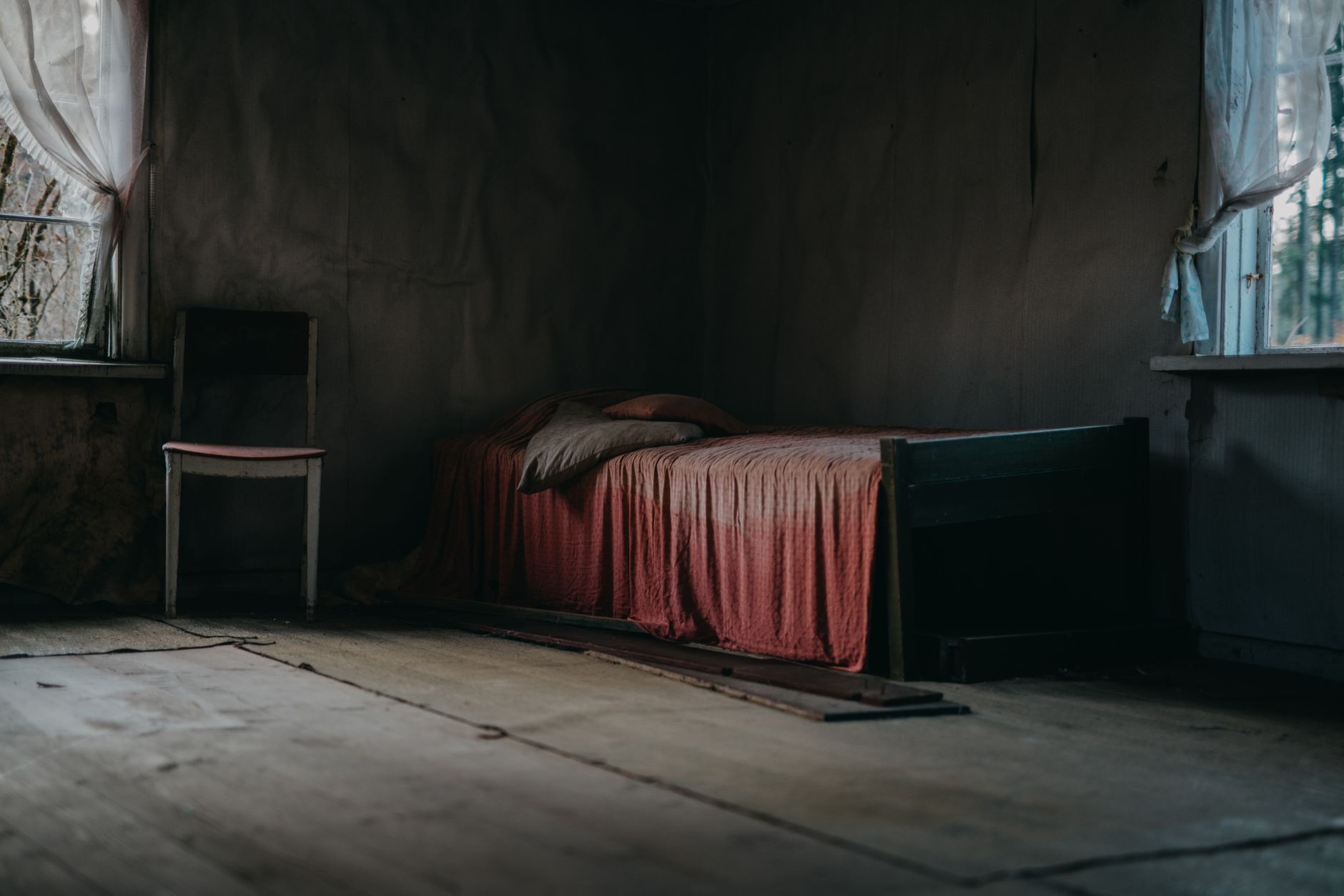 Traitement punaises de lit à Carquefou